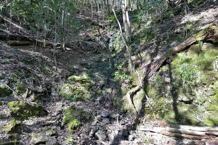 ���J�s����